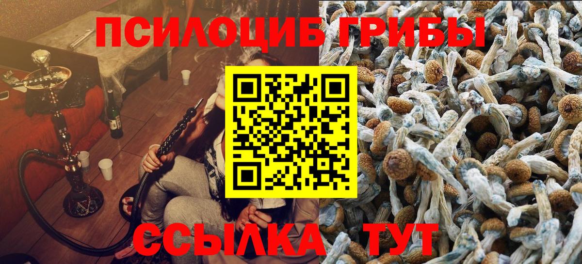 Псилоцибиновые грибы ЛСД Орёл