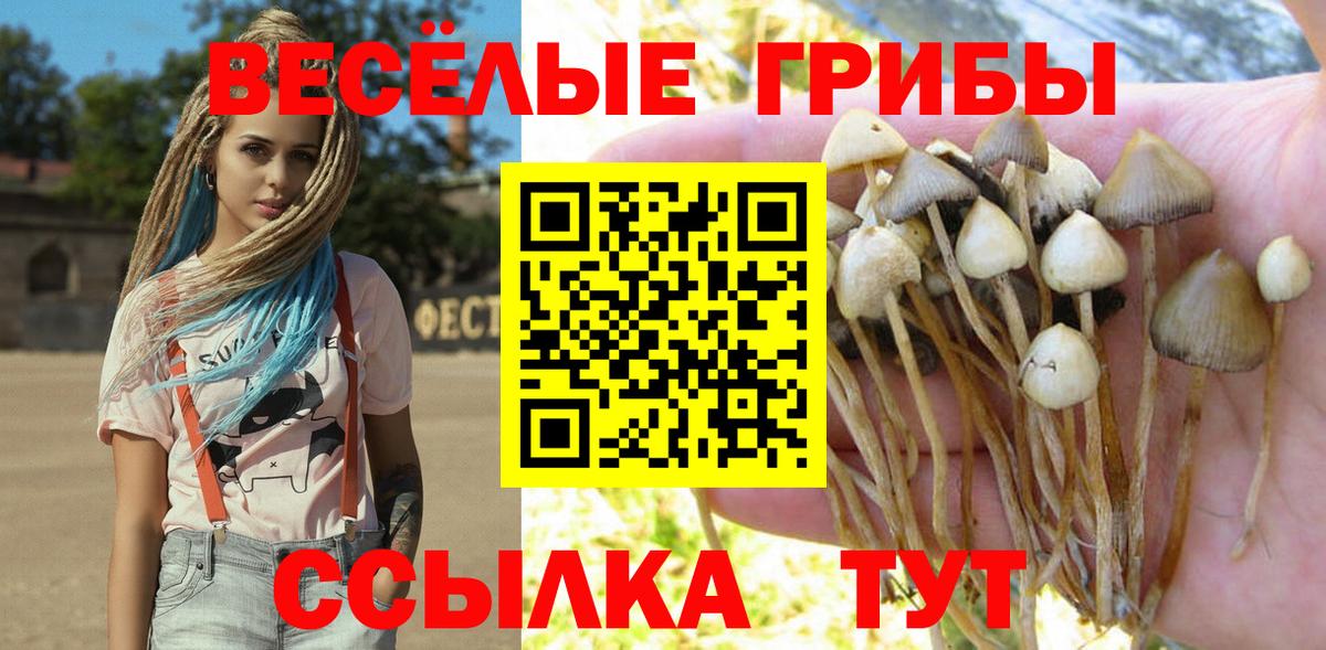 Псилоцибиновые грибы Psilocybine cubensis  Вход с VPN  Орёл 